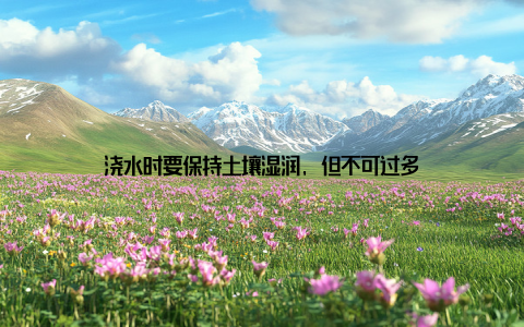 浇水时要保持土壤湿润, 但不可过多