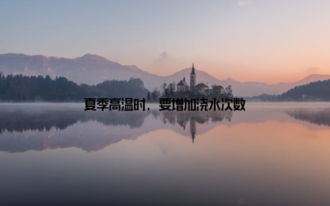 夏季高温时, 要增加浇水次数