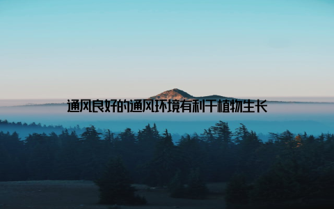 通风良好的通风环境有利于植物生长
