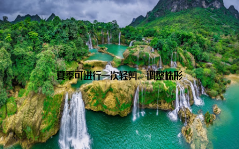夏季可进行一次轻剪, 调整株形