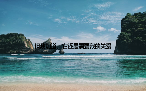 但我知道, 它还是需要我的关爱