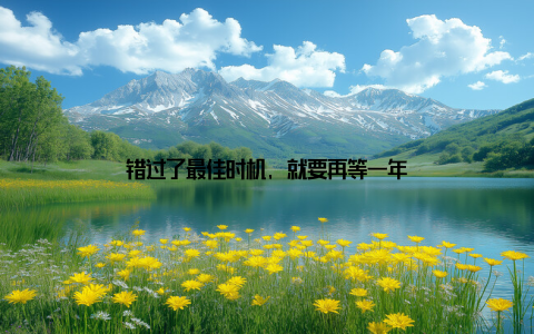 错过了最佳时机, 就要再等一年