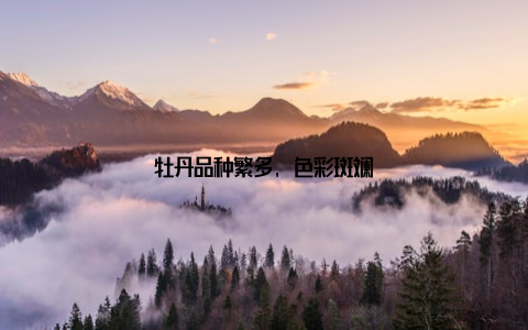 牡丹品种繁多, 色彩斑斓