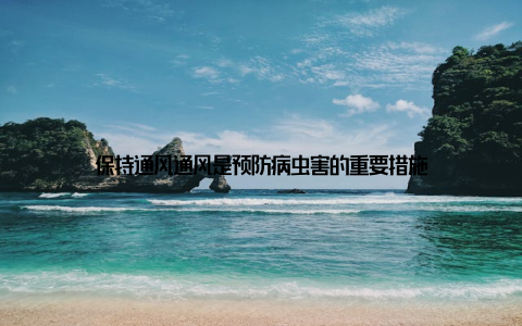 保持通风通风是预防病虫害的重要措施
