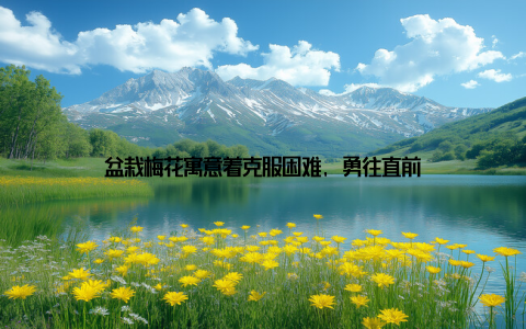 盆栽梅花寓意着克服困难, 勇往直前