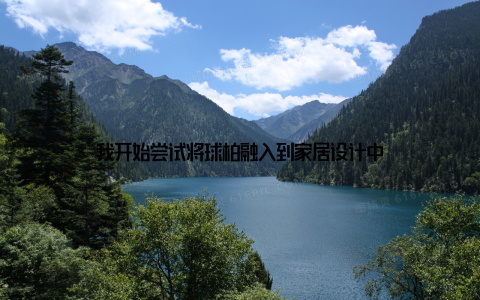 我开始尝试将球柏融入到家居设计中