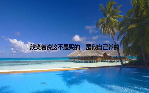 我笑着说这不是买的, 是我自己养的