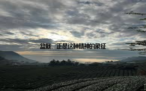 盆栽, 正是这种精神的象征