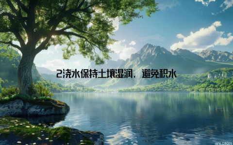 2浇水保持土壤湿润, 避免积水
