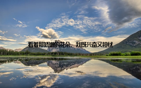 看着那娇嫩的花朵, 我既兴奋又担忧