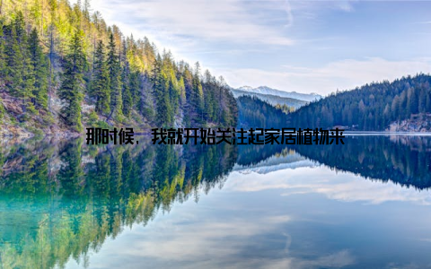 那时候, 我就开始关注起家居植物来