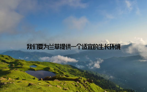 我们要为兰草提供一个适宜的生长环境