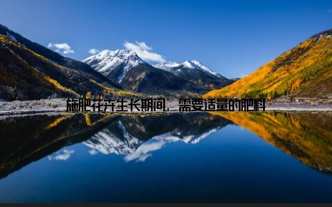 施肥花卉生长期间, 需要适量的肥料