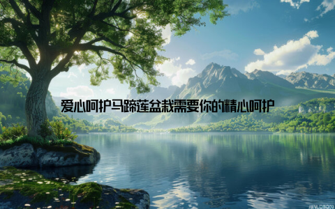 爱心呵护马蹄莲盆栽需要你的精心呵护