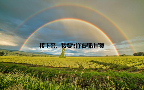 接下来, 我要说的是散尾葵