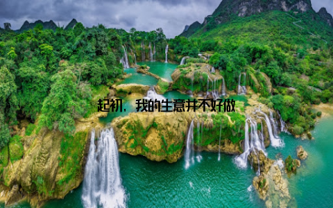 起初, 我的生意并不好做