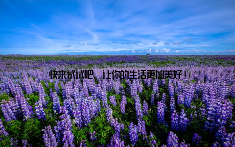 快来试试吧, 让你的生活更加美好!