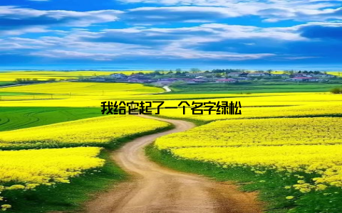 我给它起了一个名字绿松