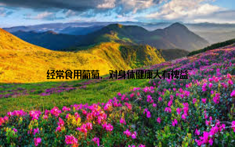 经常食用葡萄, 对身体健康大有裨益