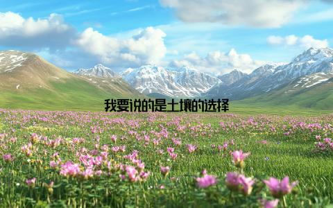 我要说的是土壤的选择