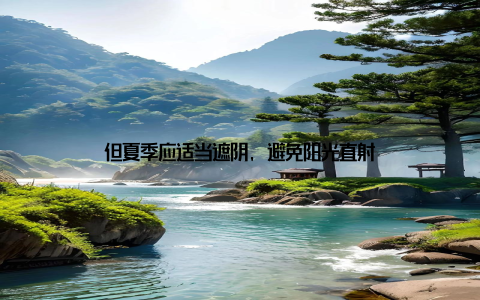 但夏季应适当遮阴, 避免阳光直射