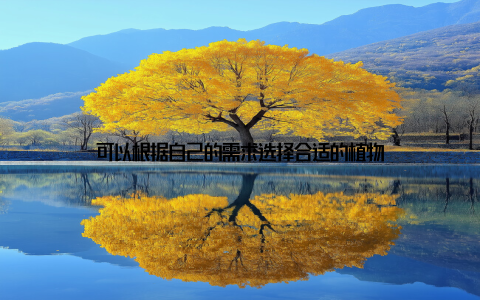 可以根据自己的需求选择合适的植物