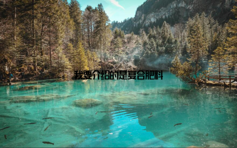我要介绍的是复合肥料