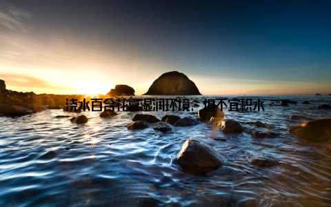 浇水百合花喜湿润环境, 但不宜积水