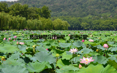 适度施肥合理施肥, 避免过量
