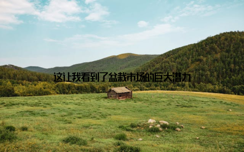 这让我看到了盆栽市场的巨大潜力