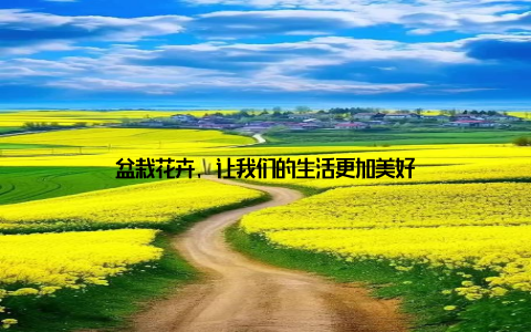 盆栽花卉, 让我们的生活更加美好