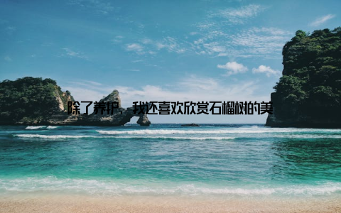 除了养护, 我还喜欢欣赏石榴树的美