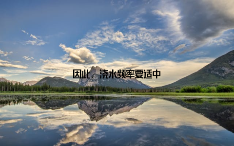 因此, 浇水频率要适中