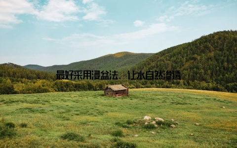 最好采用浸盆法, 让水自然渗透