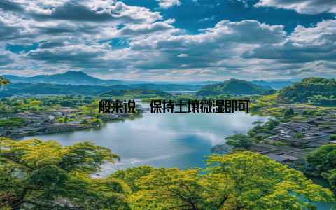 一般来说, 保持土壤微湿即可