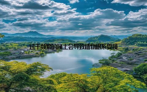 过于频繁的换土会导致植物根系受损
