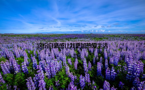 这份自豪感让我更加热爱生活