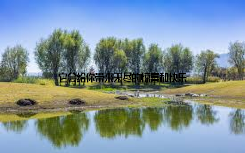 它会给你带来无尽的惊喜和快乐