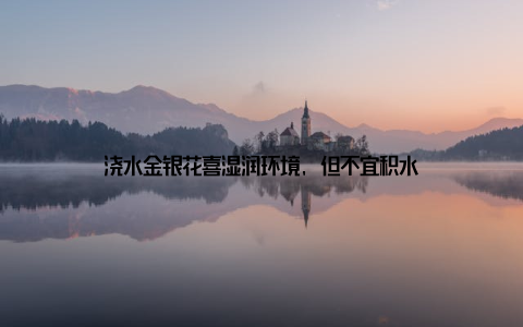 浇水金银花喜湿润环境, 但不宜积水