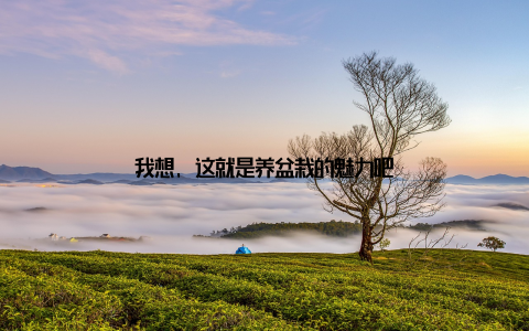 我想, 这就是养盆栽的魅力吧