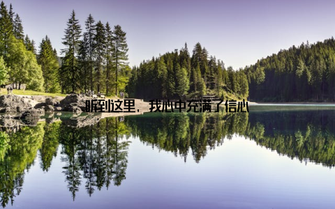听到这里, 我心中充满了信心
