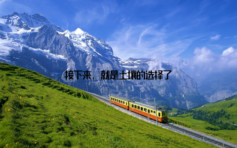 接下来, 就是土壤的选择了