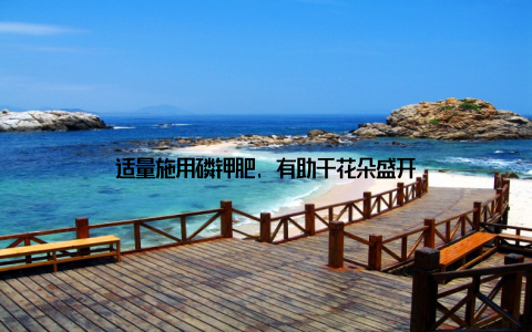 适量施用磷钾肥, 有助于花朵盛开