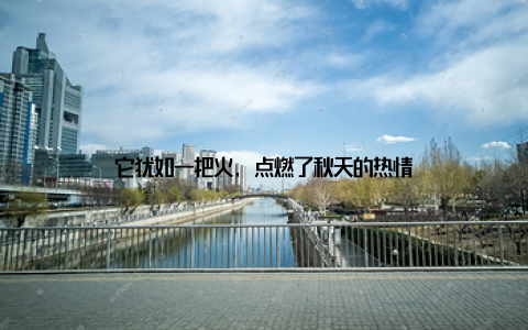 它犹如一把火, 点燃了秋天的热情