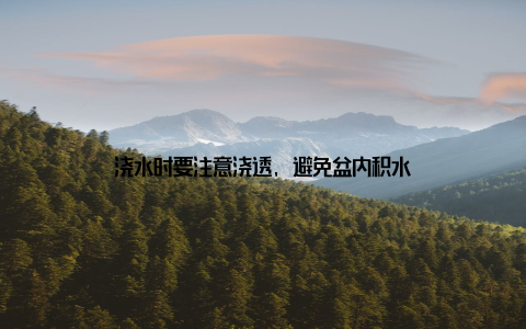 浇水时要注意浇透, 避免盆内积水