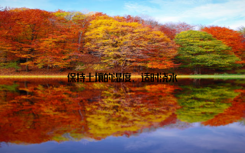 保持土壤的湿度, 适时浇水