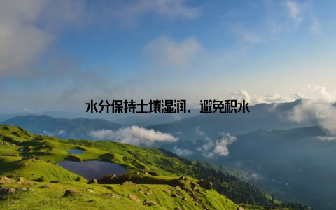 水分保持土壤湿润, 避免积水