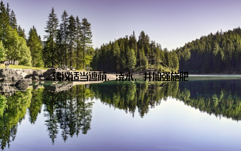 建议适当遮荫、浇水, 并加强施肥