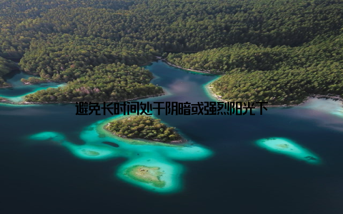 避免长时间处于阴暗或强烈阳光下