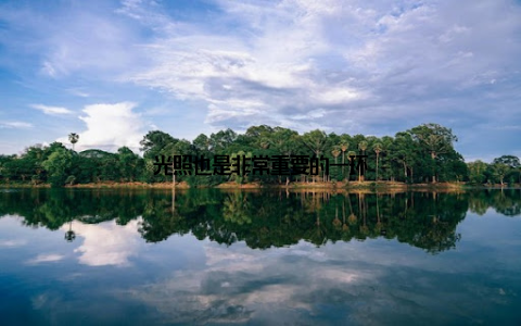 光照也是非常重要的一环